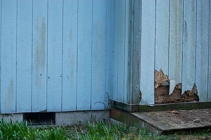 Exterior Siding Restoration