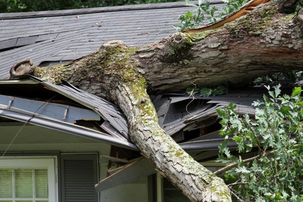 Cost of Storm Remediation in Grand Haven