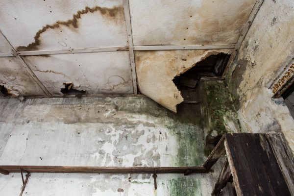 Cost of Water Damage Service in Grand Haven