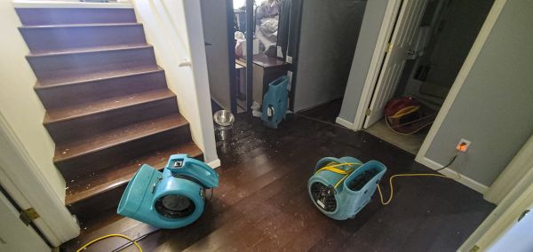Cost of Water Damage Remediation in Grand Haven