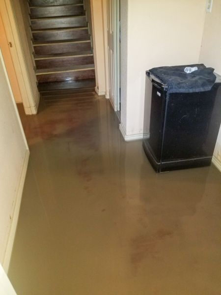 Cost of Emergency Water Removal in Grand Haven